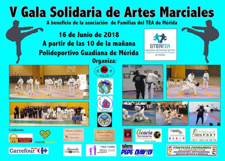 Gala V Solidaria a Favor de EmeriTea